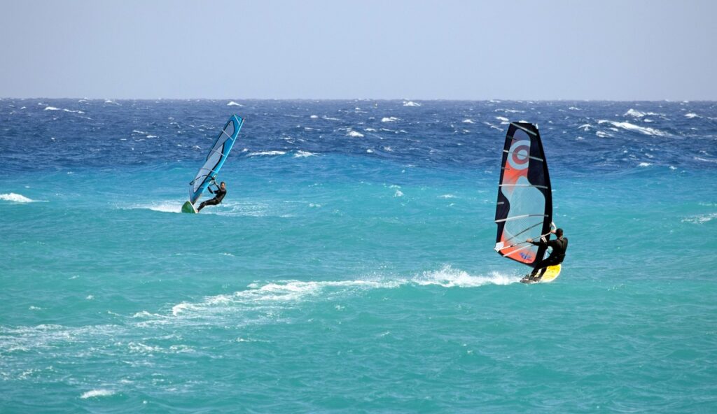 windsurfing, windsurfers, nature