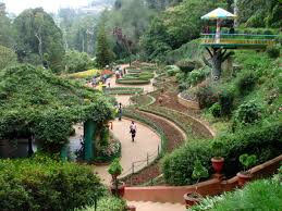 Your Complete Guide to Camping in Ooty's Scenic Beauty