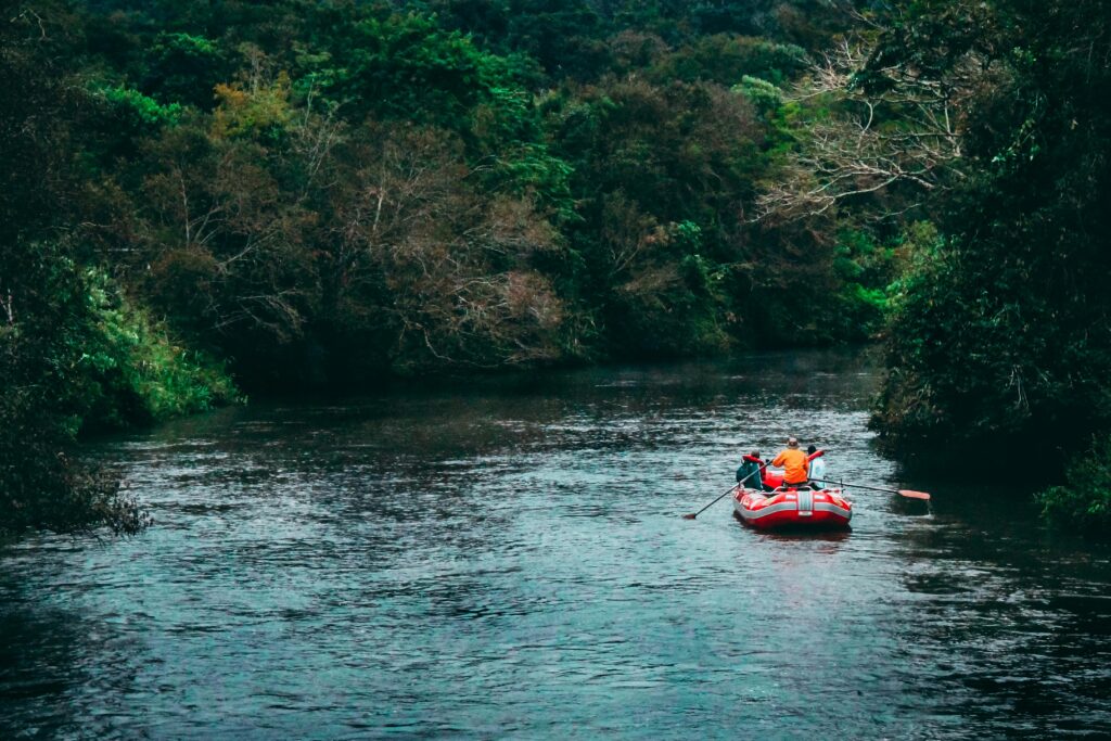 Experience the thrill of white-water rafting in a lush jungle river setting. Perfect for outdoor adventure seekers.