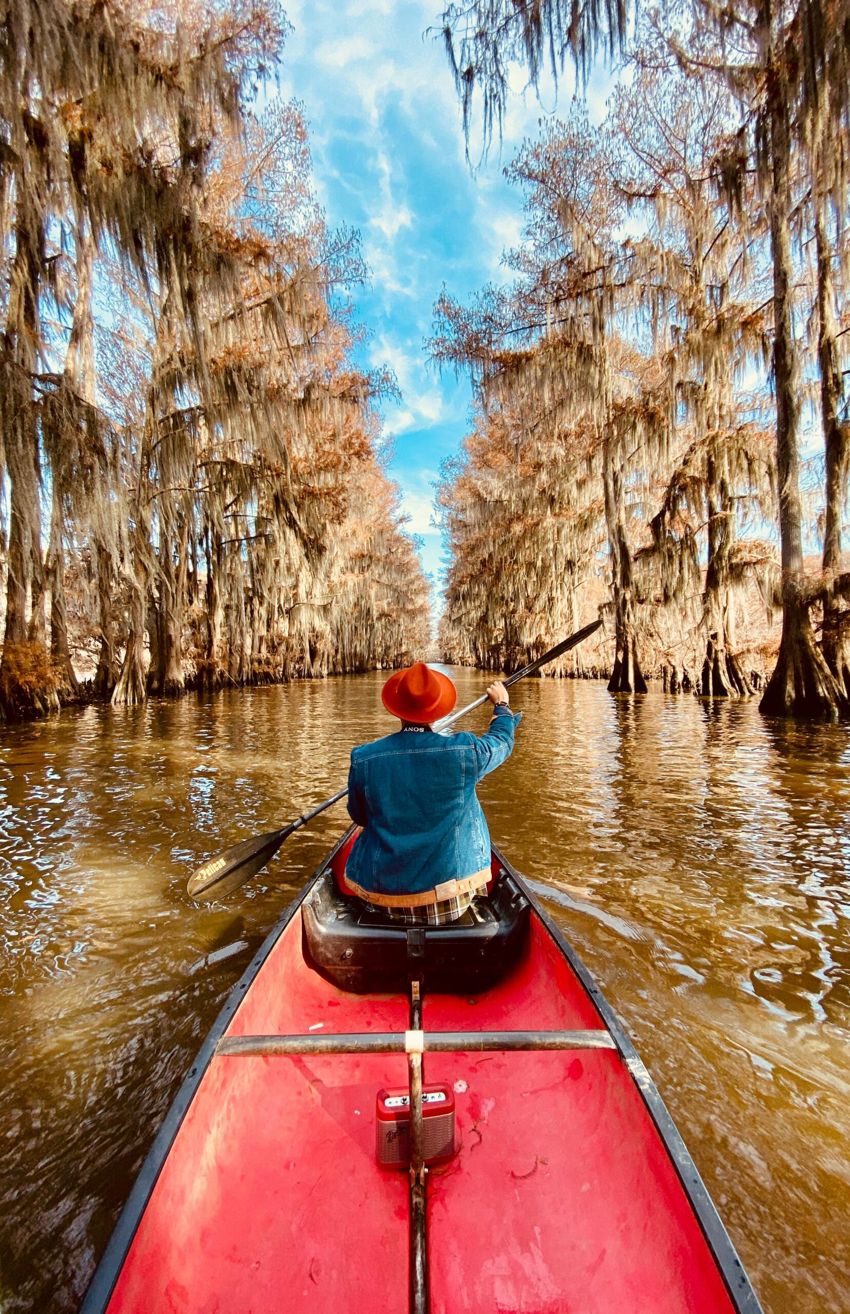 Person paddling a red canoe through the captivating autumn cypress trees of Karnack, Texas.