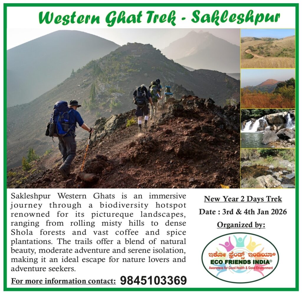 kaginari trucking poster